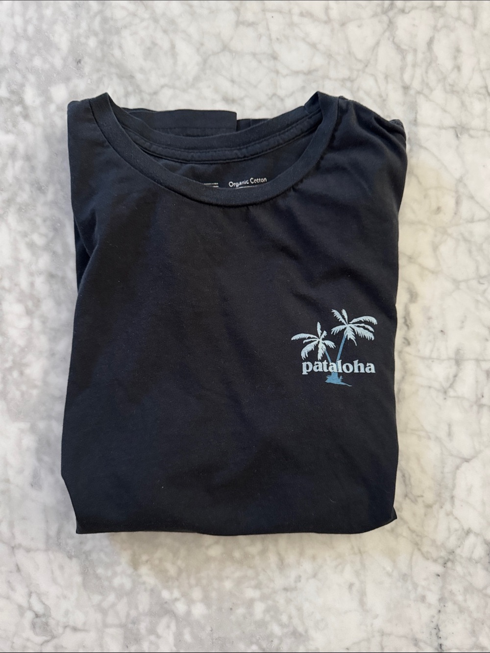 Patagonia Black Short Sleeve Tee with Light Blue Logo